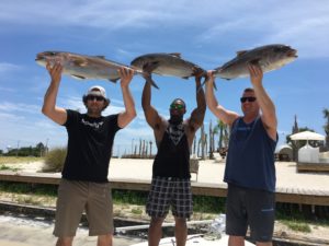Amberjack Fishing Season Destin Florida