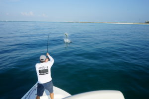 Destin Florida Tarpon Fishing