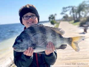 Sheepshead Fishing in Destin Florida