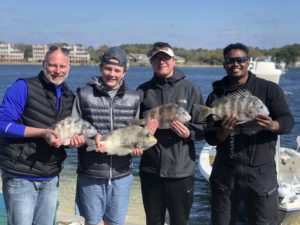 Sheepshead Fishing in Destin Florida