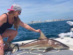 Shark Fishing Destin Florida 