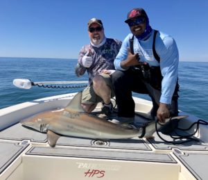 shark fishing destin florida 