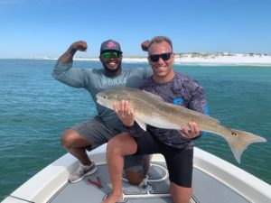 Destin Florida Red Fish 