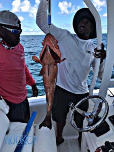 Destin Florida Grouper Fishing 